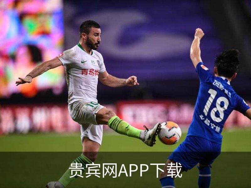 贵宾网APP下载概况